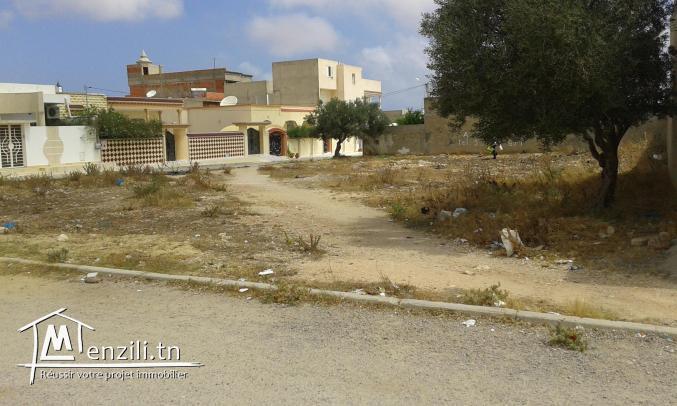 A vendre terrain titré tél: 95031671