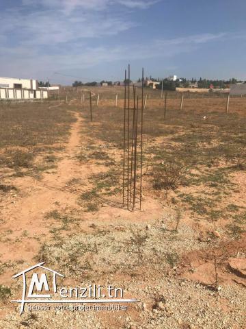 Occasion à ne pas rater