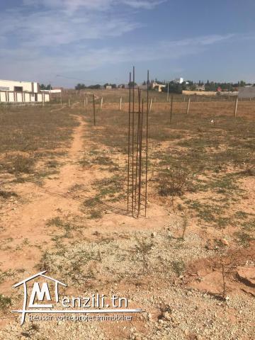 Occasion à ne pas rater