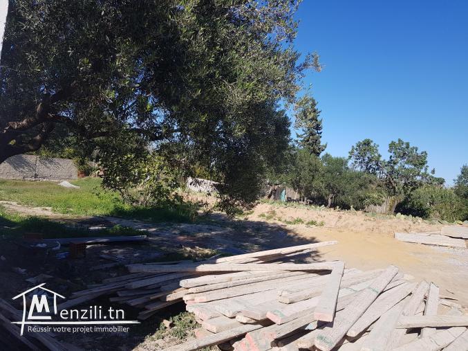 Terrain nu a sousse (akouda)