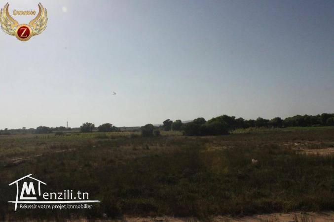 vendre un terrain sidi mansour kélibia