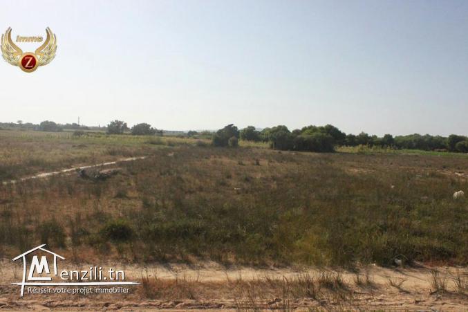 vendre un terrain sidi mansour kélibia