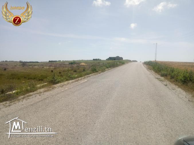 vendre un terrain kélibia tamozret