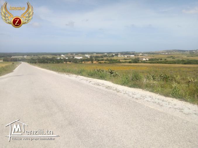 vendre un terrain kélibia tamozret