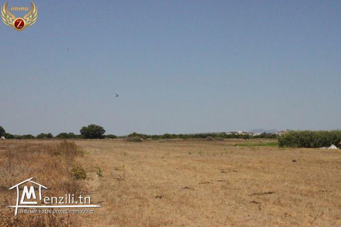 terrain sidi mathkour kélibia