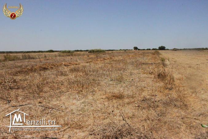 terrain sidi mathkour kélibia