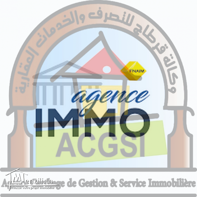 Agent Immobilier Professionnel