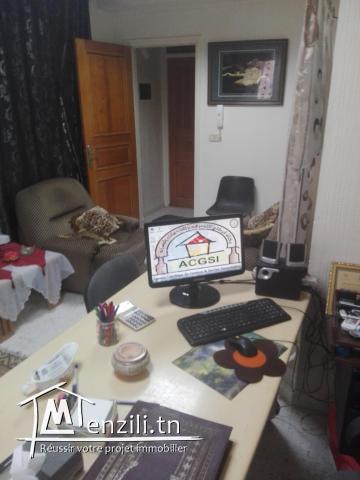 Agent Immobilier Professionnel