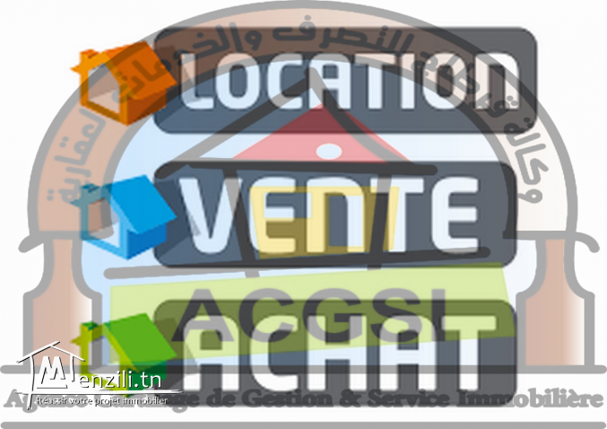 Agent Immobilier Professionnel