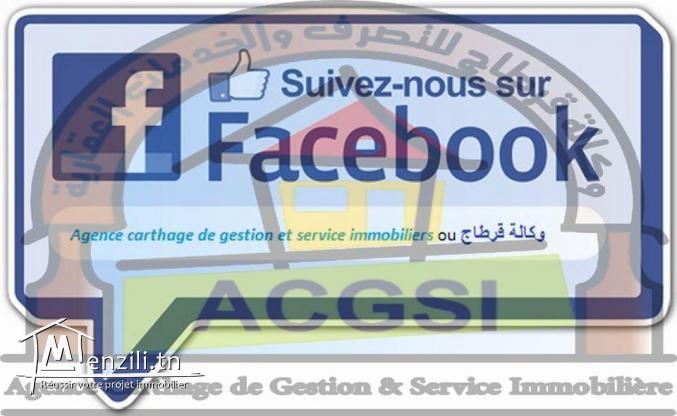 Agent Immobilier Professionnel