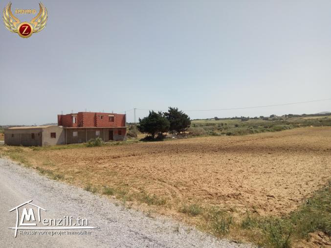 فرصة من ذهب مع "زينة إيمو"