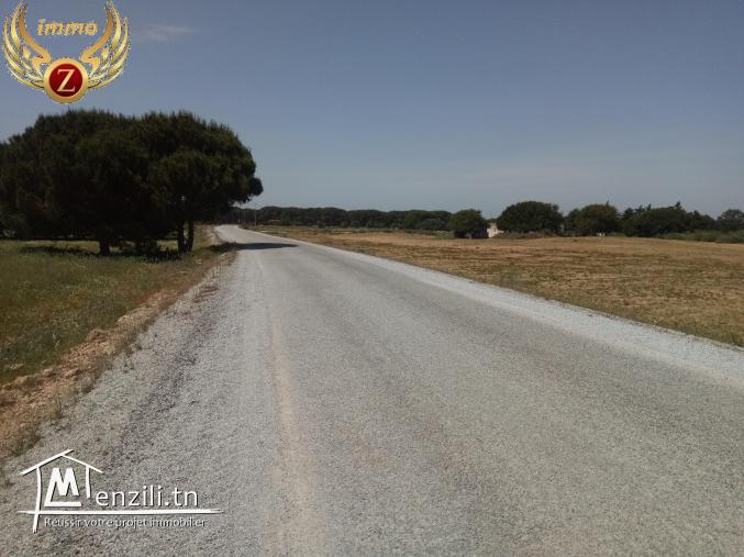 فرصة من ذهب مع "زينة إيمو"