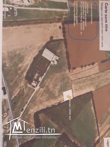 Terrain a vendre a Raoued route kalaat andalos