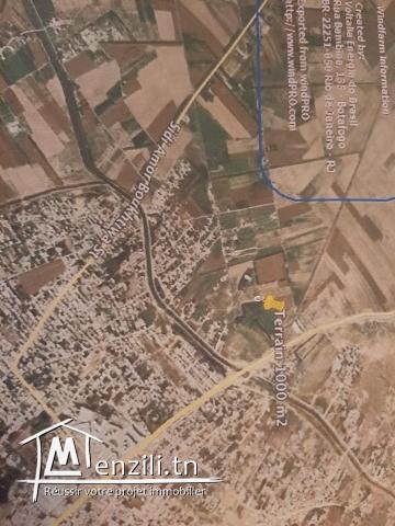 Terrain a vendre a Raoued route kalaat andalos