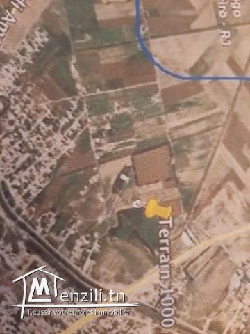 Terrain a vendre a Raoued route kalaat andalos