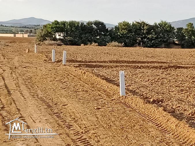 Terrain à vendre à partir de 69 DT M²  