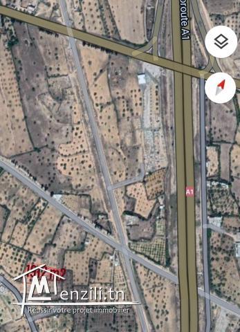 Terrain à vendre à Kalâa kebira