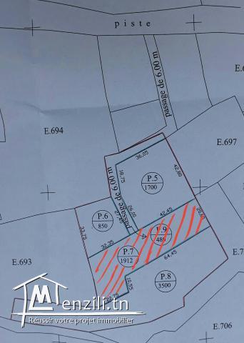 Terrain à vendre à Kalâa kebira