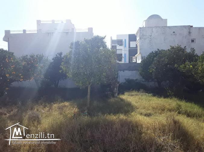 Terrain viabilisé 231 m Hammamet