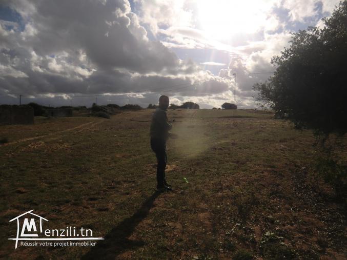 3HECTARS a vendre seulement a 150 000 dt