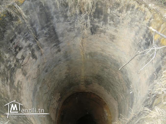 3HECTARS a vendre seulement a 150 000 dt