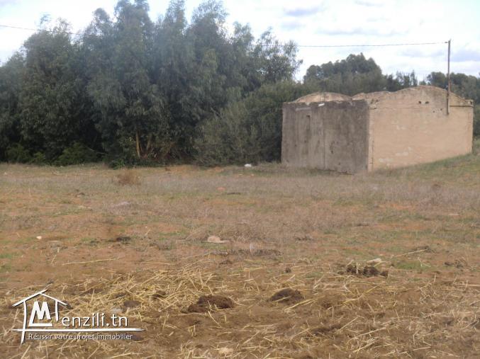 3HECTARS a vendre seulement a 150 000 dt