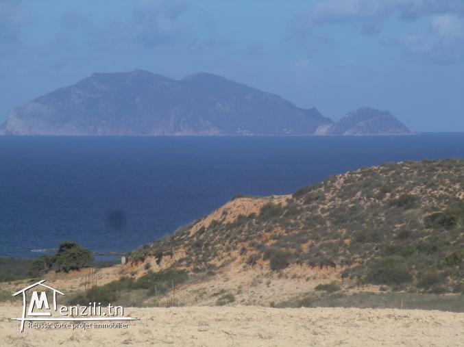 أرض للبيع أحواز الهوارية مطلة على جزيرة زمبرة زمبرته