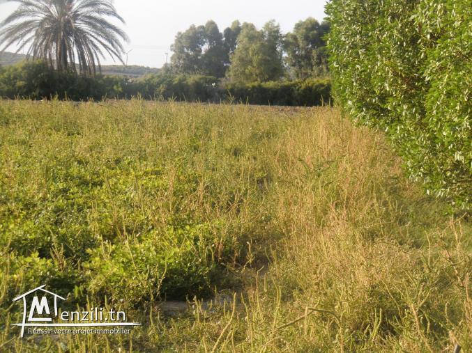 deux hectars et demi ferme bien équipé avec villa bien équipé