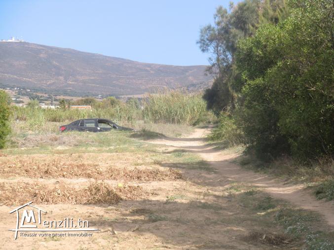 11200m² terrain dar allouch l'eau et electricité