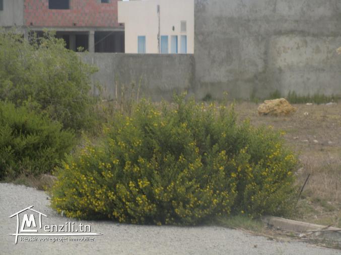 lot sur deux routes goudronnée 100m a la plage