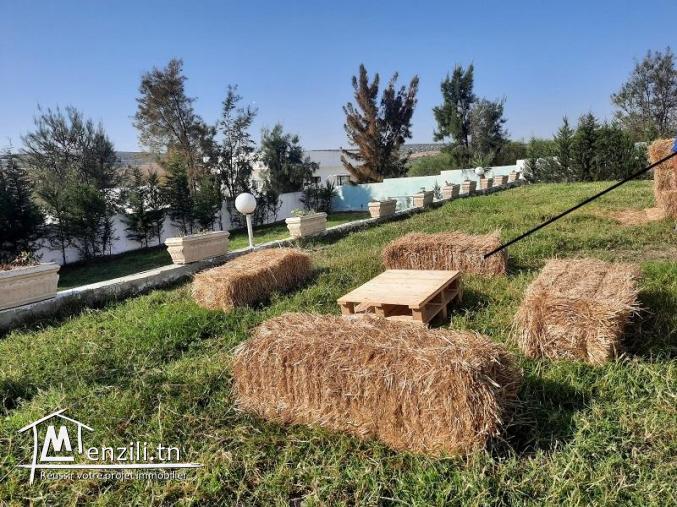 Centre  Animation et Loisirs