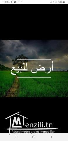 قطعة أرض قريبة من جميع المرافق