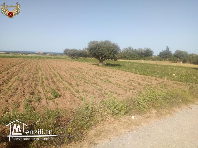 للبيع أرض صالحة للبناء في حمام الجبلي_قليبية مساحتها...