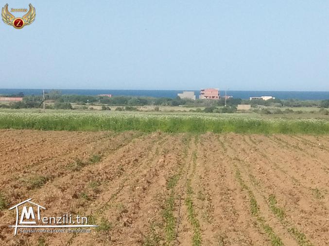 للبيع أرض صالحة للبناء في حمام الجبلي_قليبية مساحتها 100...