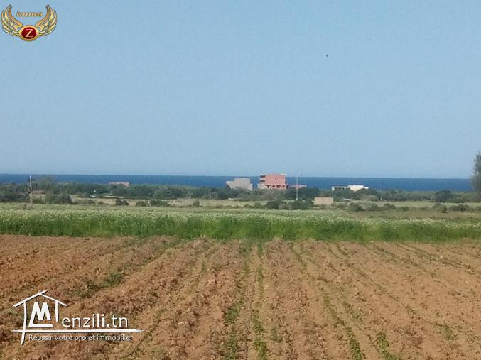 للبيع أرض صالحة للبناء في حمام الجبلي_قليبية مساحتها 100...