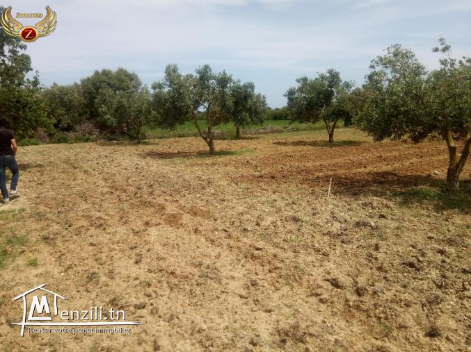 A vendre un terrain de 3314 m2