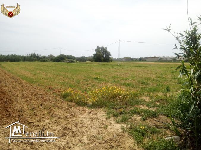 A vendre un terrain de 3314 m2