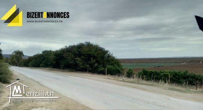 لبيع أرض فلاحية في عين غلال أوتيك