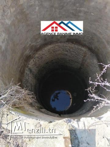 Petite ferme de 1 hect+2000m2 a el haouaria cap bon