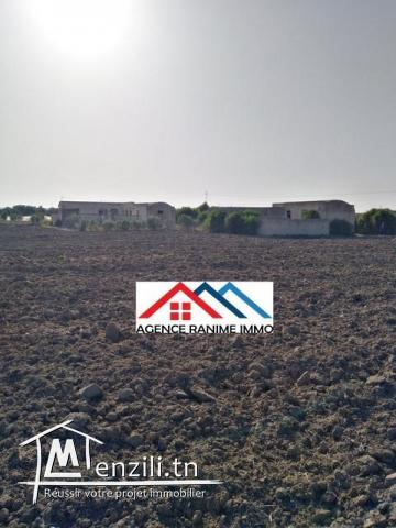 Petite ferme de 1 hect+2000m2 a el haouaria cap bon