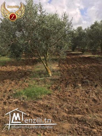 A vendre un terrain de 32450 m²