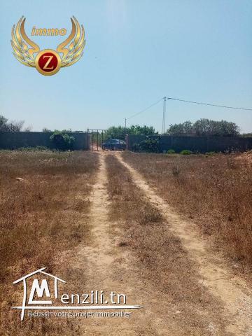 A vendre un terrain de 1200 m² à El Haouaria première position à la plage 