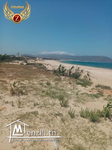 A vendre un terrain de 1200 m² à El Haouaria première position à la plage 