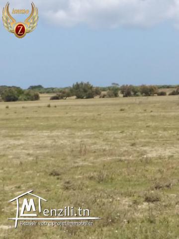 للبيع قطعة أرض في الهوارية مساحتها 60.000 م²