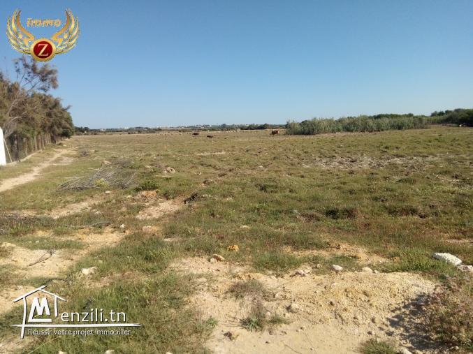 للبيع قطعة أرض في الهوارية مساحتها 60.000 م²