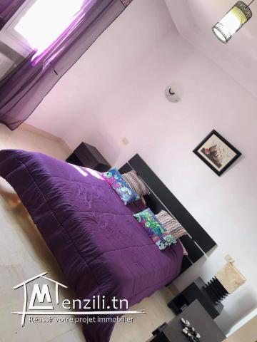 Appartement s +2 meublé