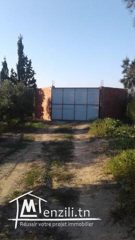 Hectare à Fondouk Ejdid