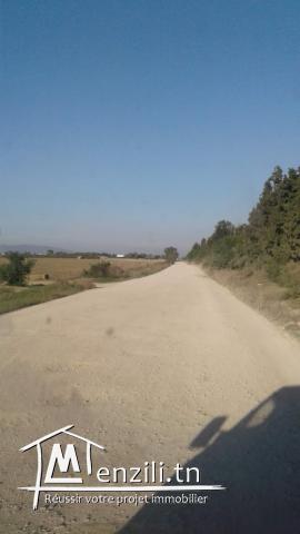 Hectare à Fondouk Ejdid