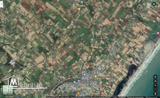 A vendre terrain à Menzel Horr