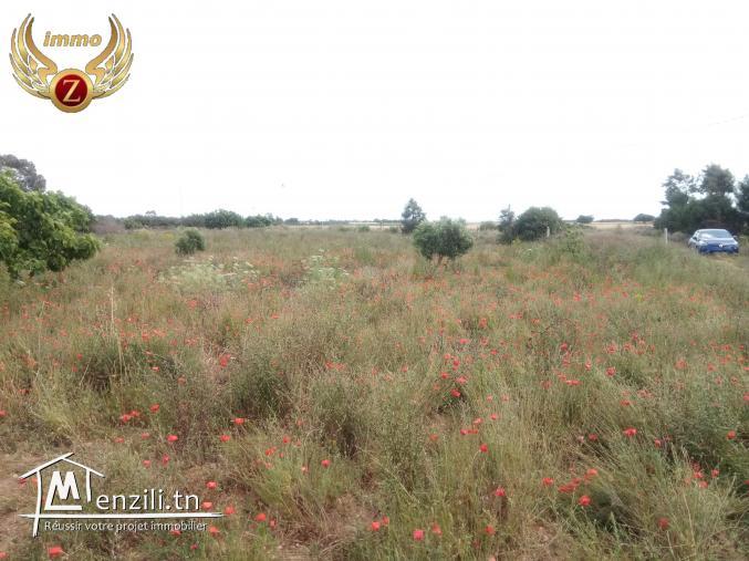 à vendre terrain 3000m² akelibia